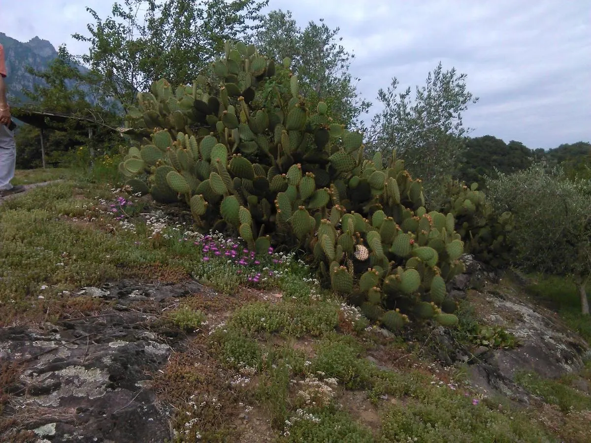 Ostello Angolo Verde Angolo Terme Italy