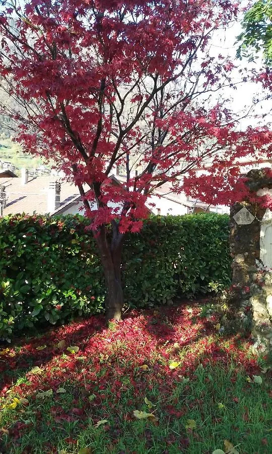Ostello Angolo Verde Angolo Terme